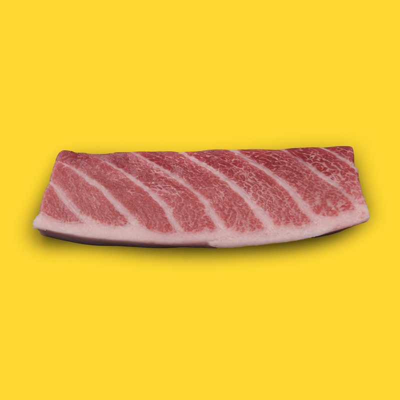 Ike Jime wild line caught bluefin tuna otoro fillet