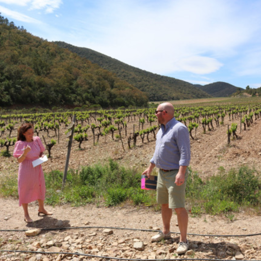 Organic red wine, Famille Ogereau Anjou Cabernet Franc