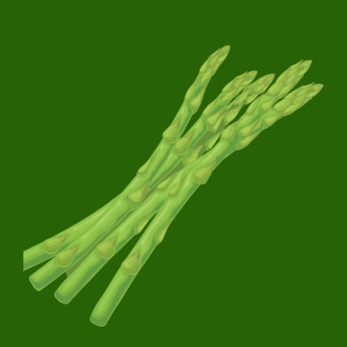 English Asparagus