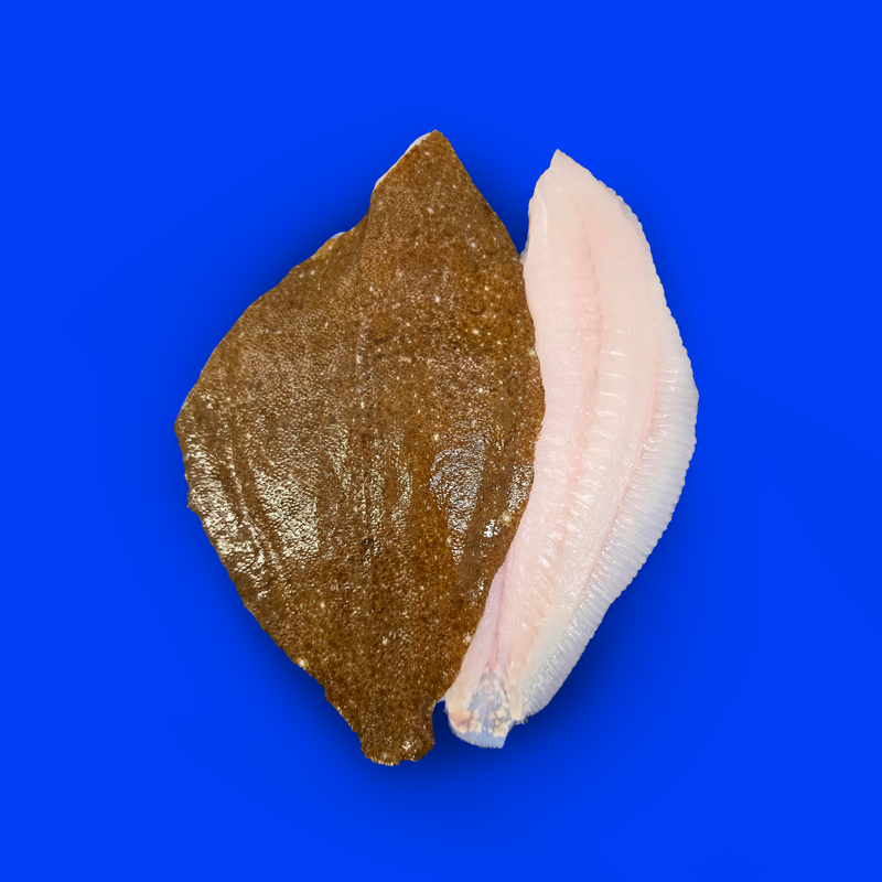 Frozen wild brill fillets