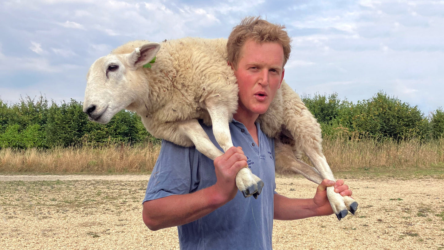 Pasture fed organic rolled loin of lamb