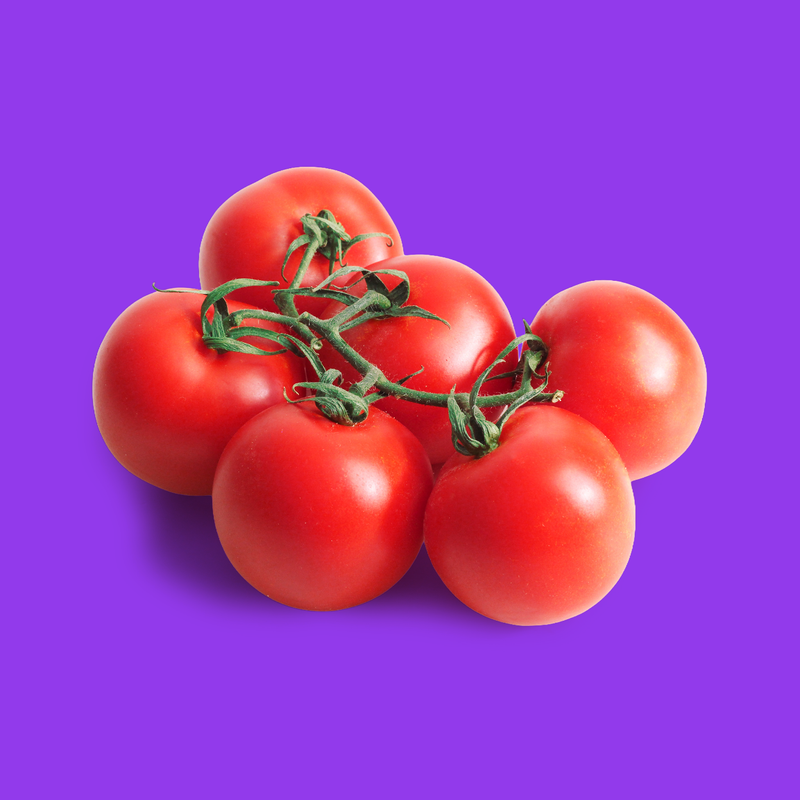 Organic tomatoes on the vine