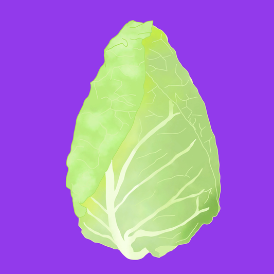 Organic hispi cabbage
