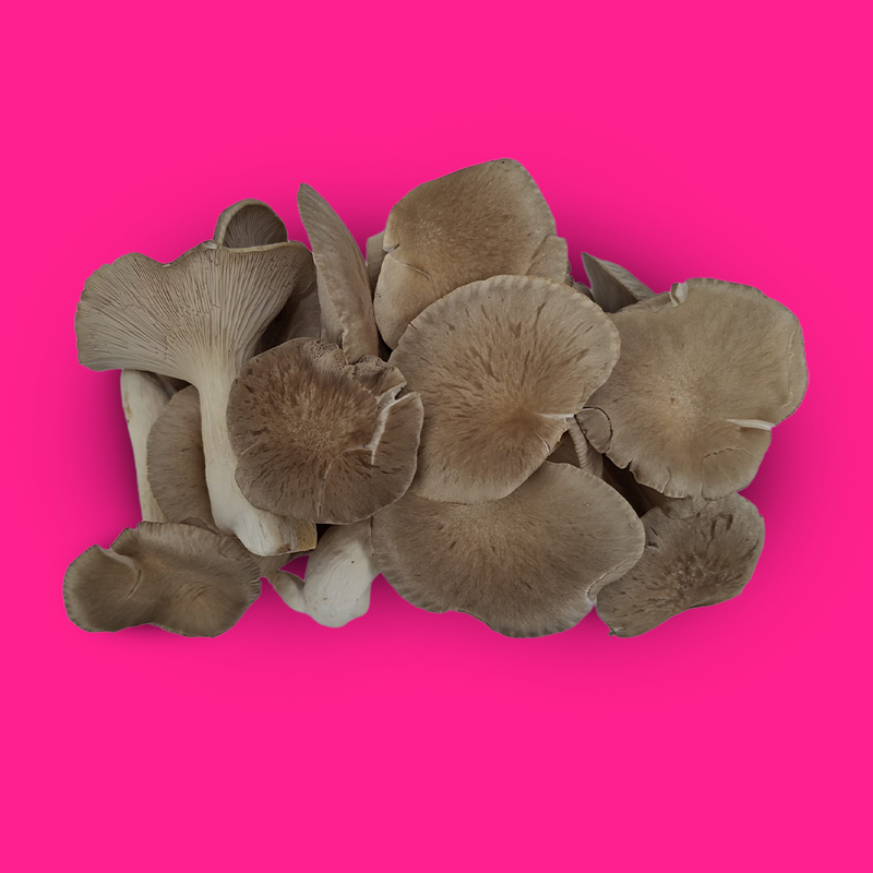 Black pearl mushrooms