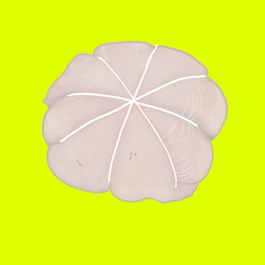 Organic boneless chicken