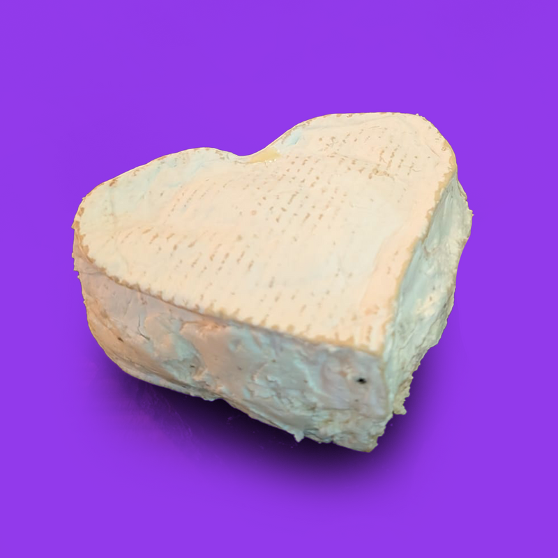 Truffle brie