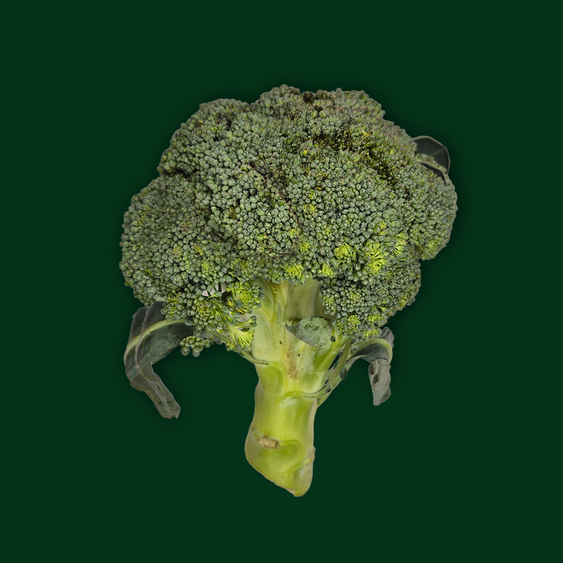 Organic broccoli Calabrese
