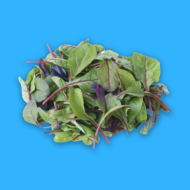 Organic Italian mixed baby lettuce leaves with edible flowers