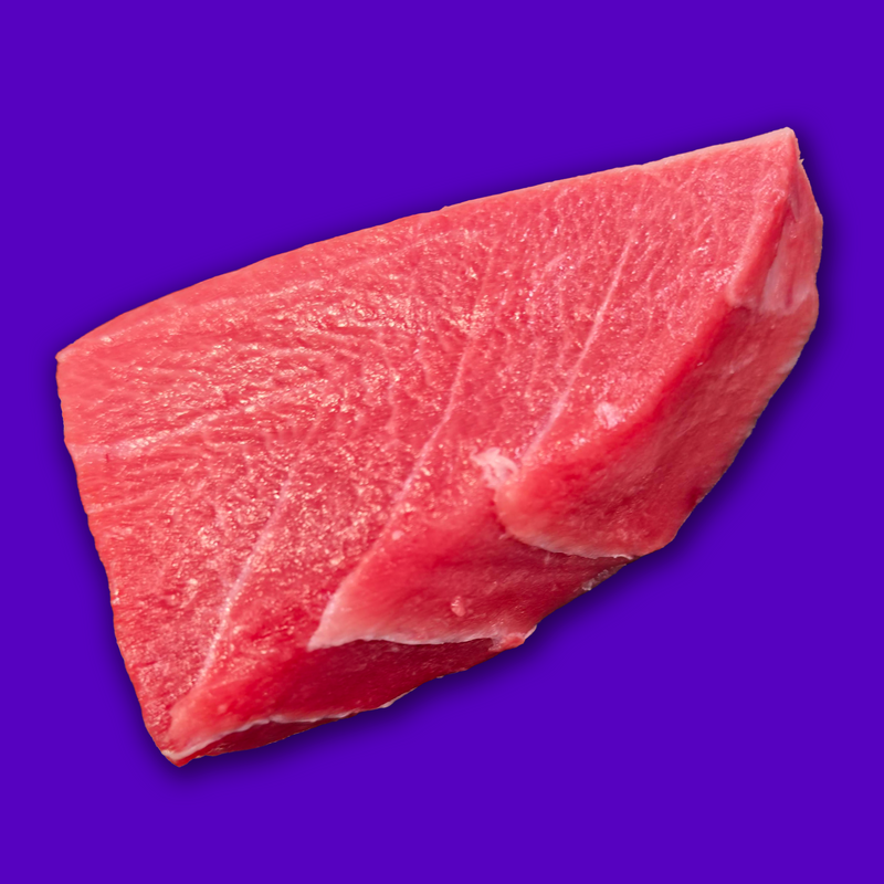 Ike Jime line caught wild bluefin tuna chūtoro fillet