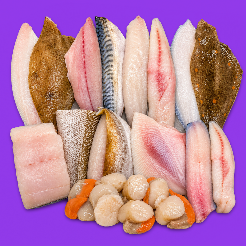 Catch of the day box