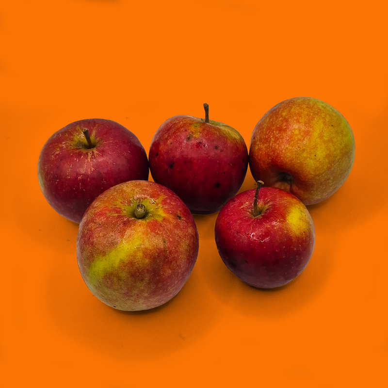 Organic Charles Ross apples