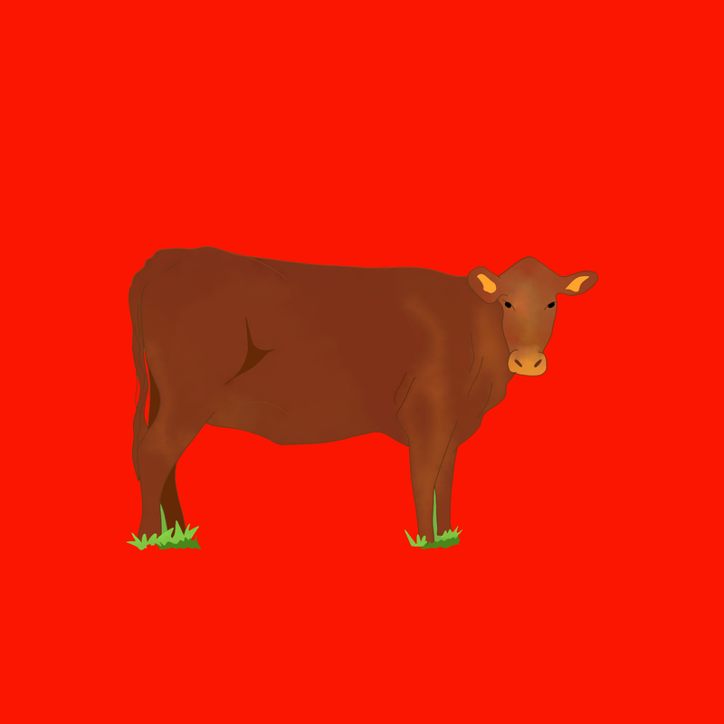 Christmas organic beef bones