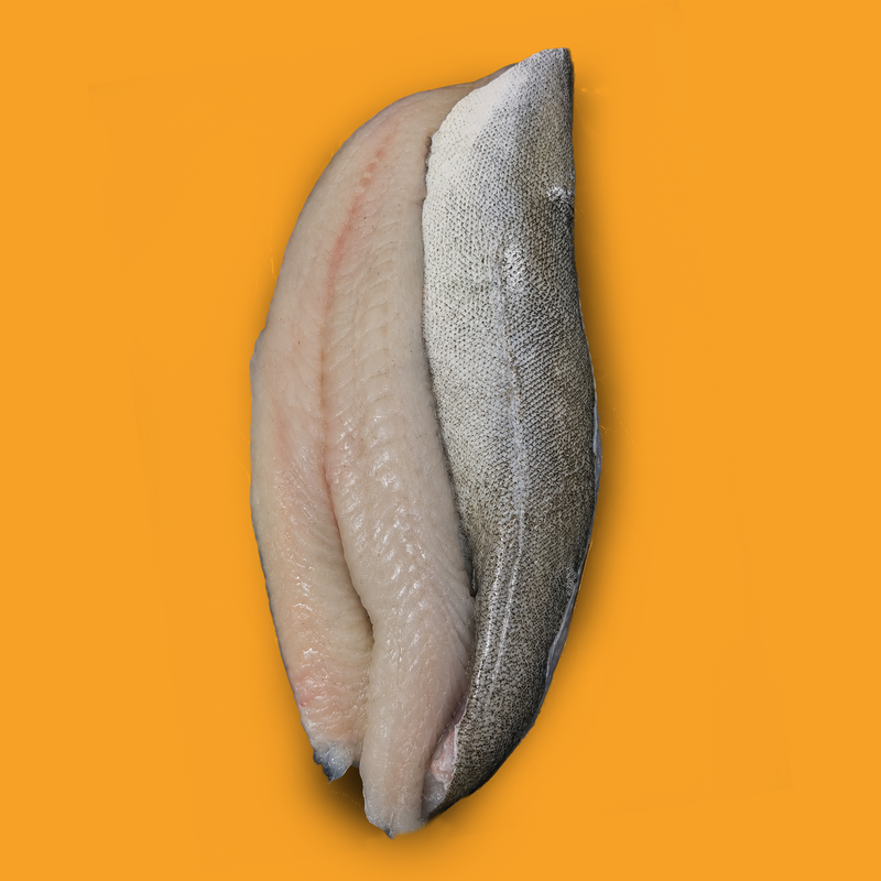 Frozen wild coley fillets