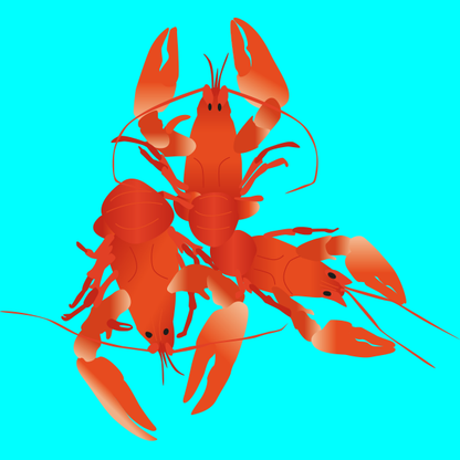 Wild crayfish in brine