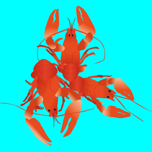 Wild crayfish in brine