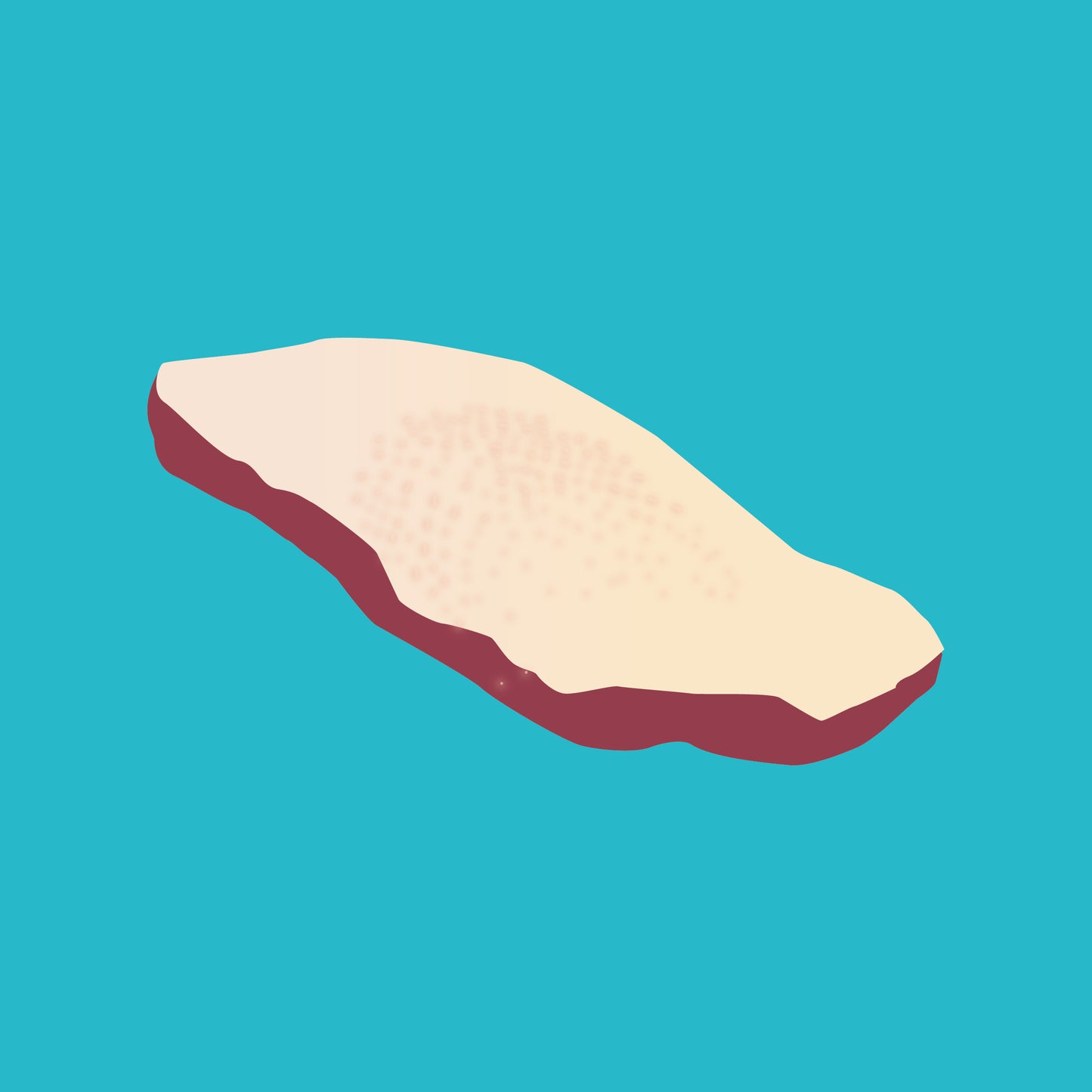 Dry aged duck breast