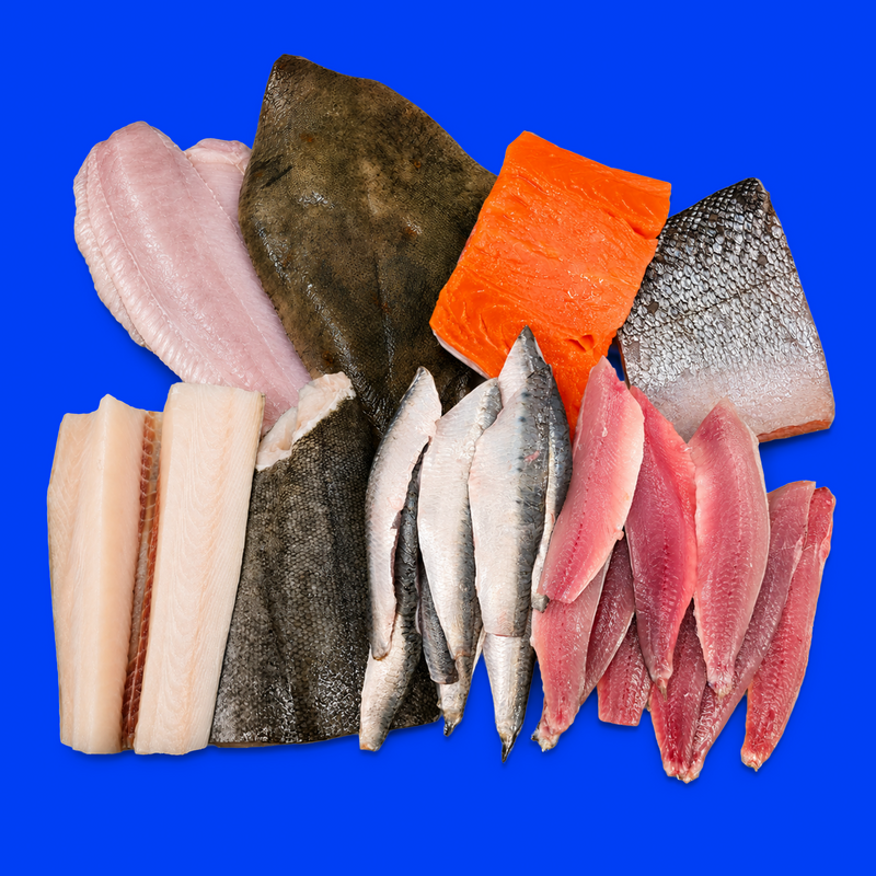 Family fish box