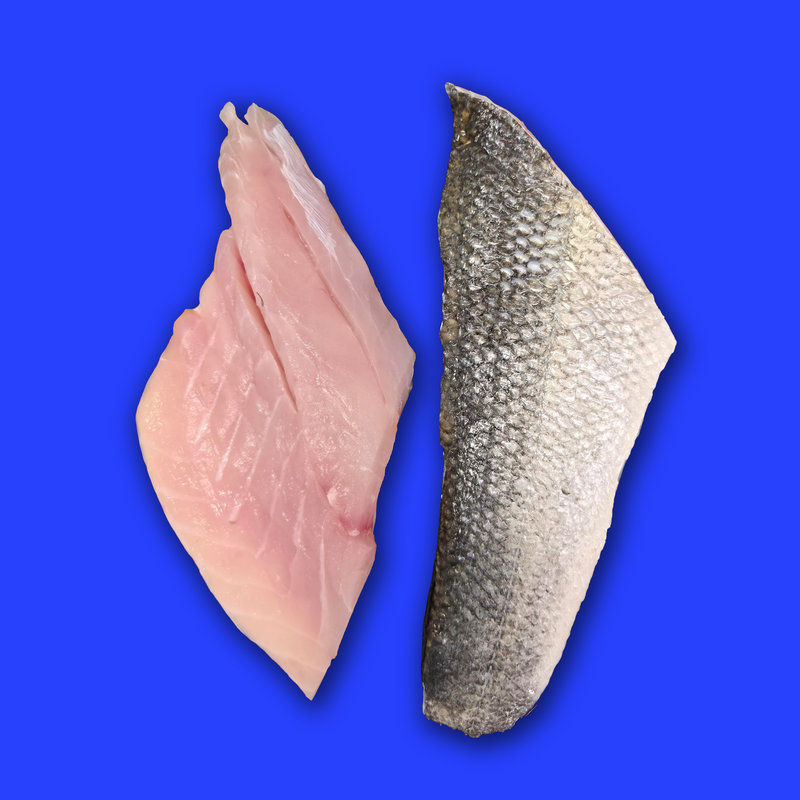 Wild bass fillets