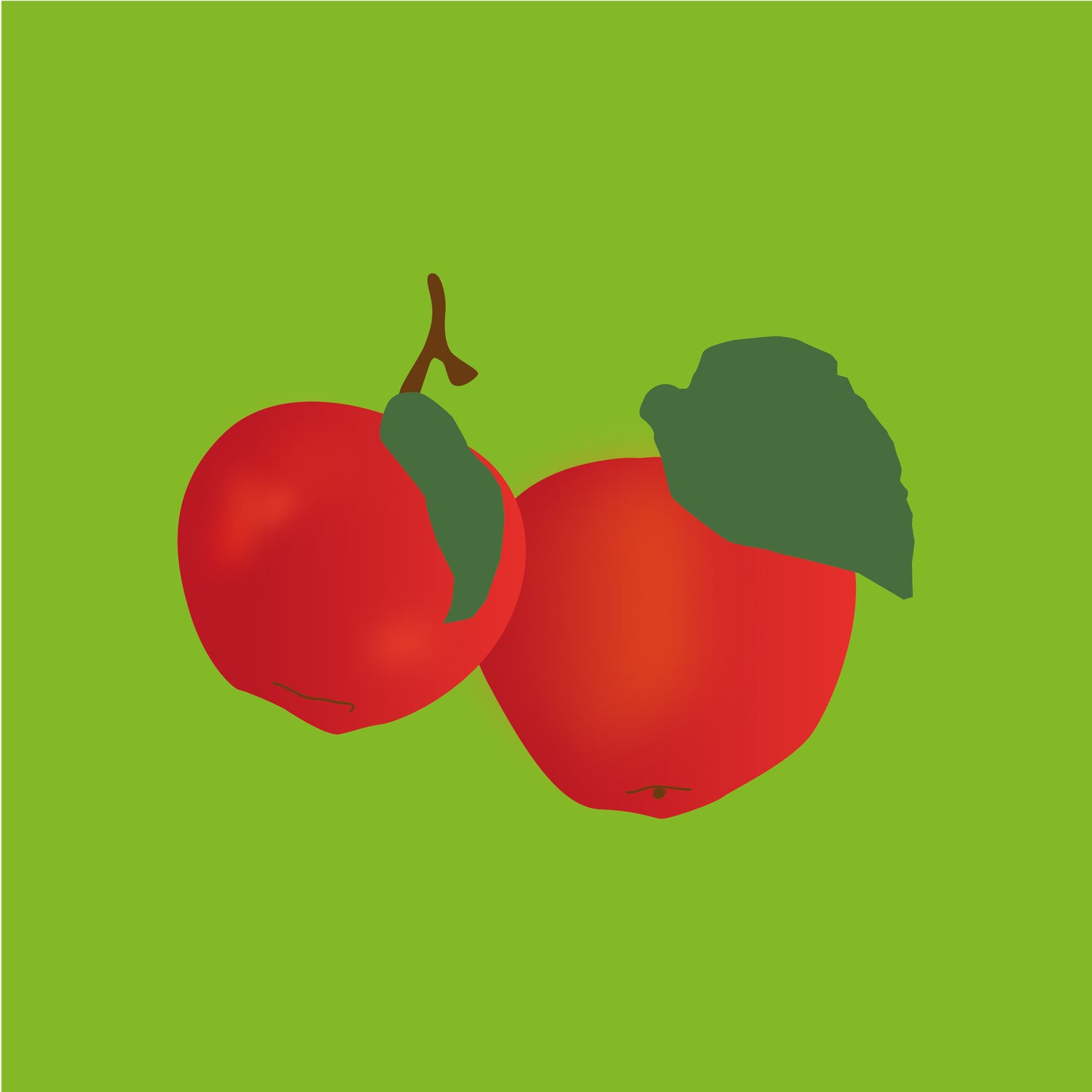 Biodynamic Organic Apples