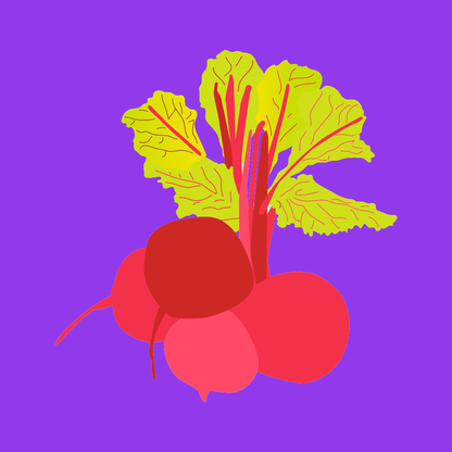 Organic bunched red beetroot