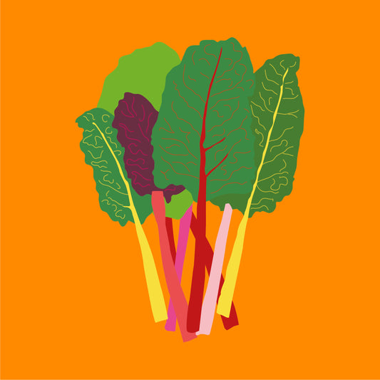 Biodynamic organic chard