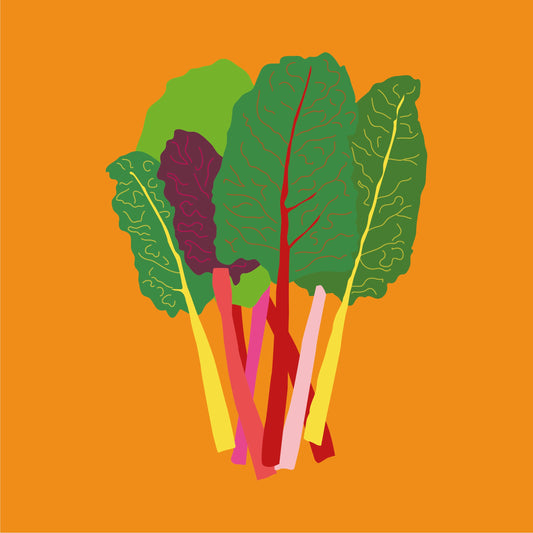 Organic rainbow chard