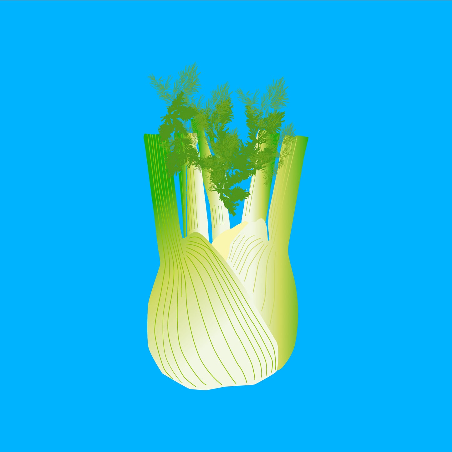 Biodynamic organic fennel