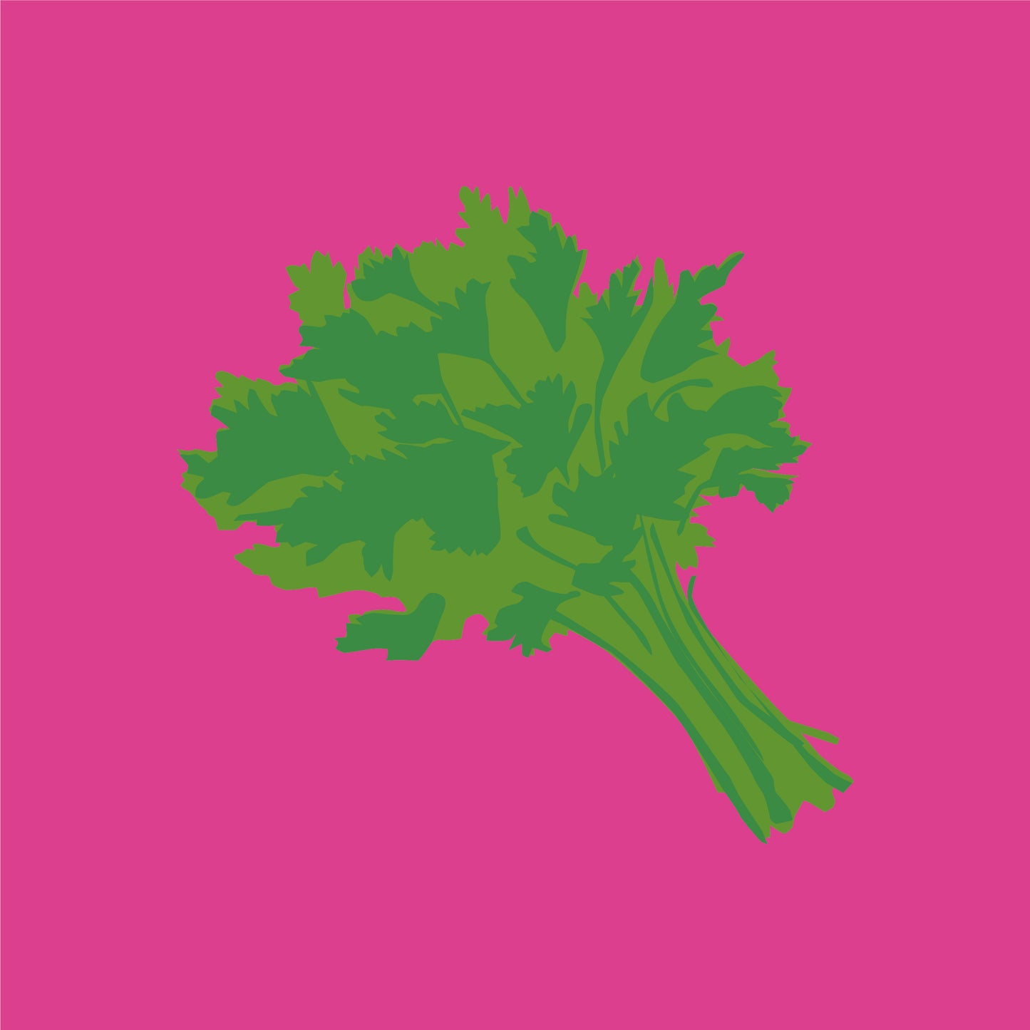 Biodynamic Organic Parsley