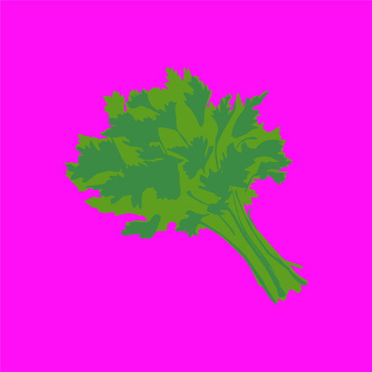 Biodynamic organic parsley