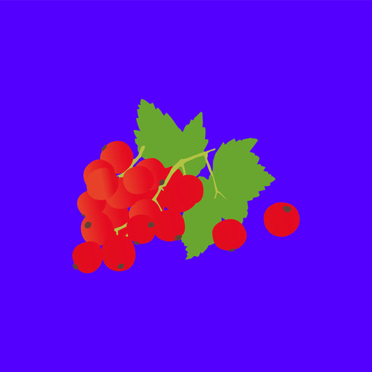Biodynamic organic redcurrants
