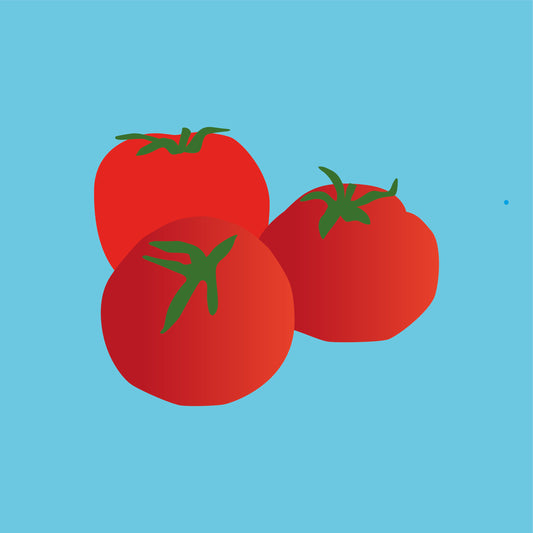 Organic tomatoes on the vine