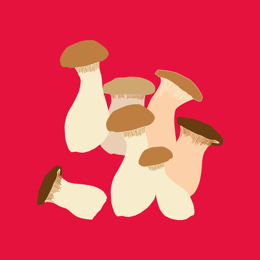 Organic king oyster mushrooms