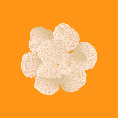 Organic lion's mane mushrooms