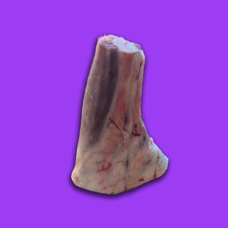 Pasture fed organic lamb shank