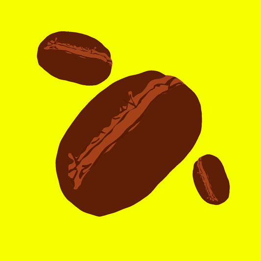 Organic Guatemalan coffee beans