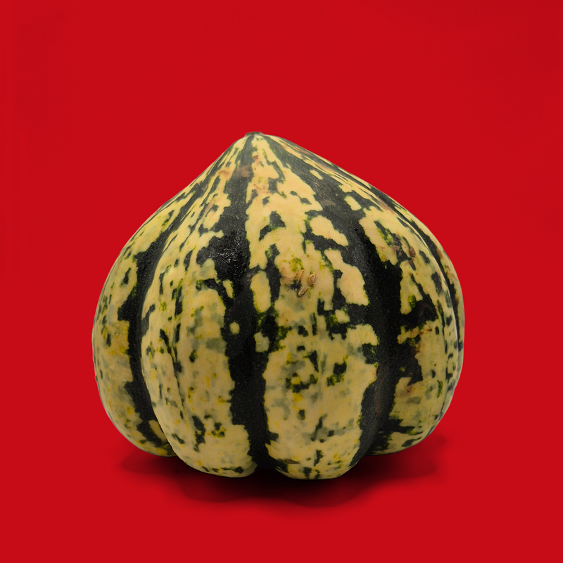 Organic harlequin squash