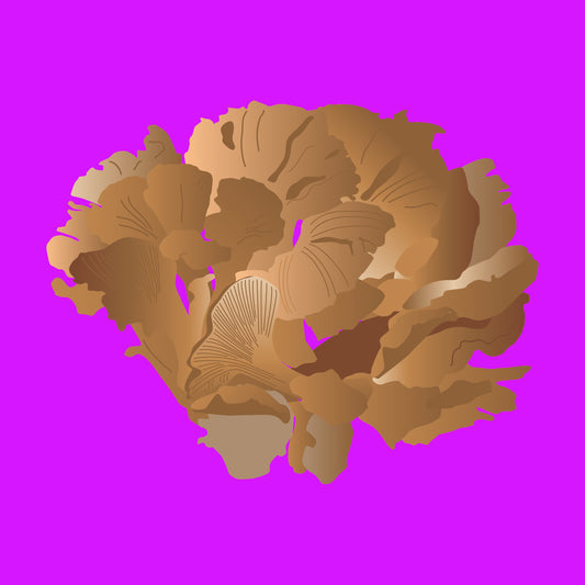 Organic hen of the woods mushrooms