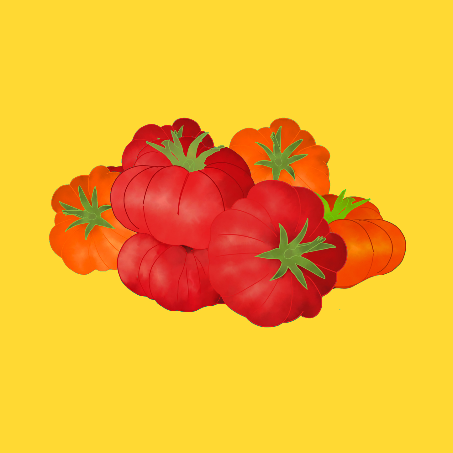 Heritage tomatoes