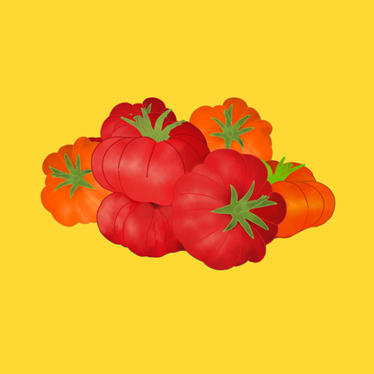 Heritage tomatoes