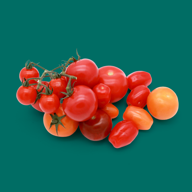 Organic heritage tomatoes