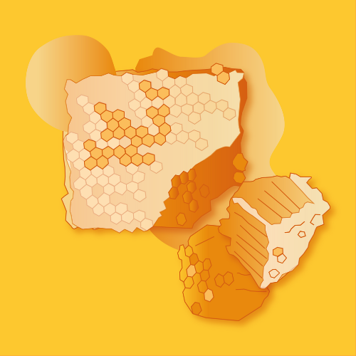 Raw Summer Honeycomb