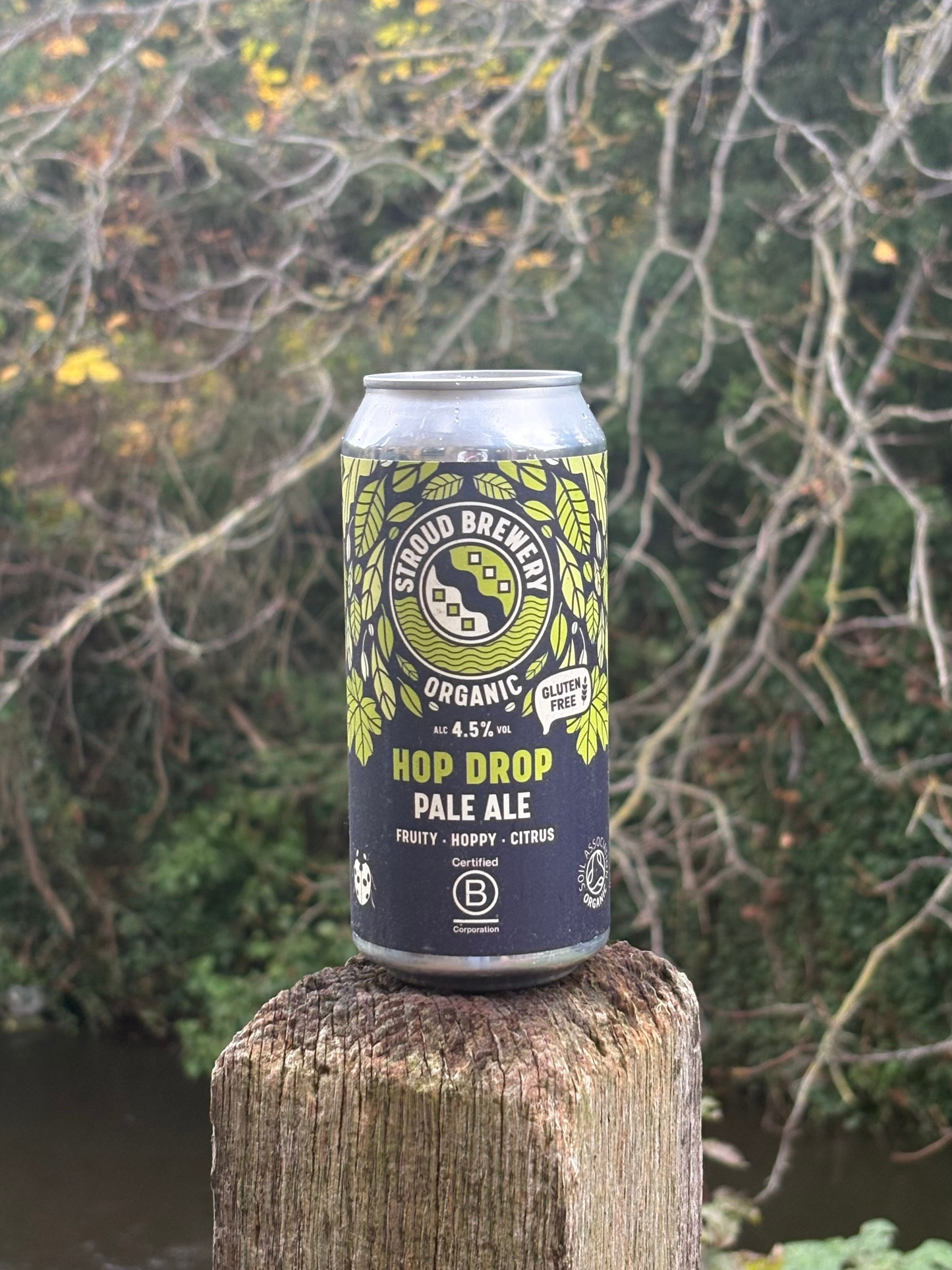 Organic Hop Drop pale ale