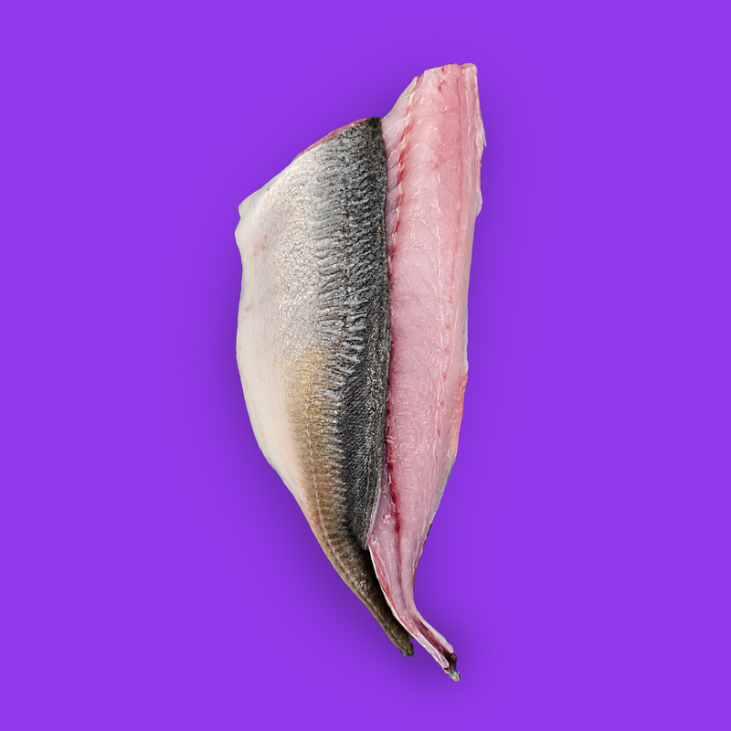 Frozen wild horse mackerel fillets