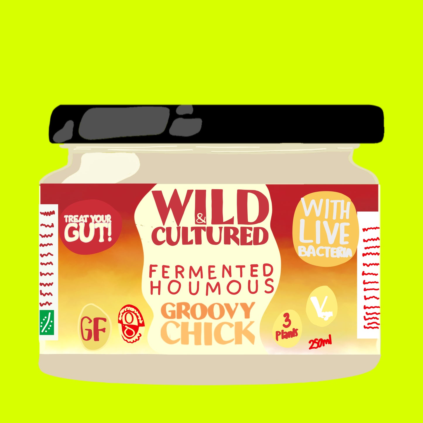 Organic fermented houmous