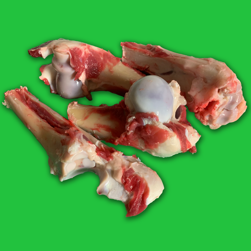 Wild venison bones