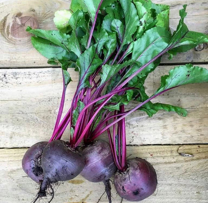 Organic Beetroot