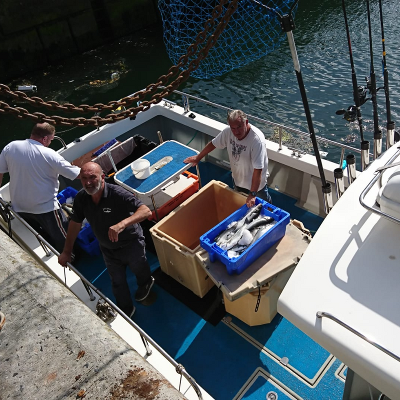 Frozen line caught wild pollack fillets