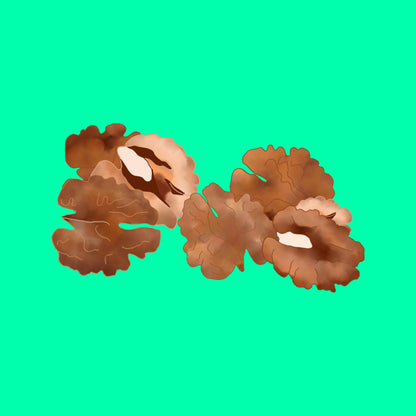 Devon grown shelled walnuts