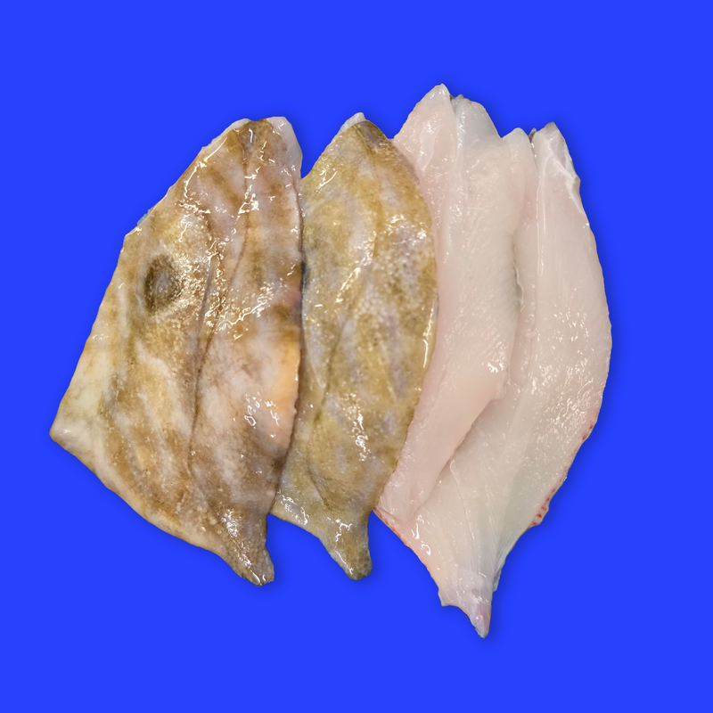 Frozen wild John Dory fillets