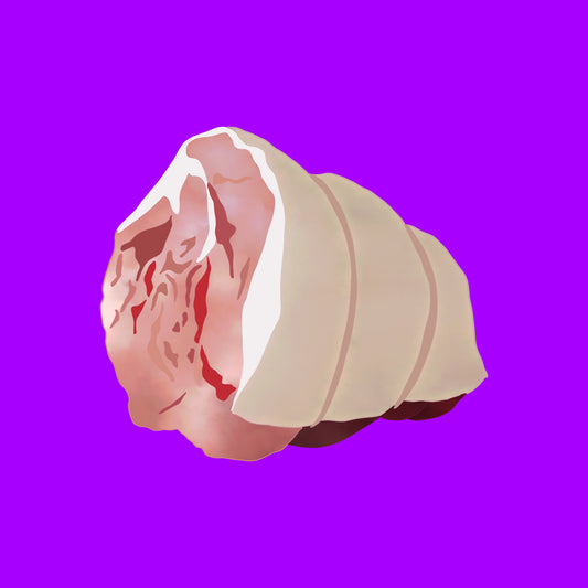 Pasture fed organic lamb rump